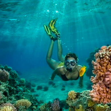 Snorkeling en Punta Cana