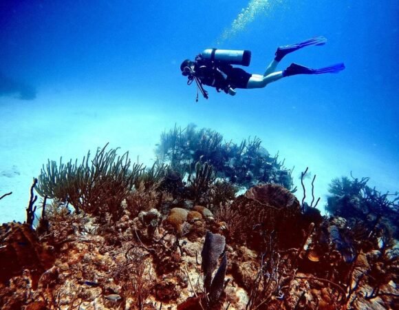 Buceo